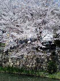 130408_1125~0001.jpg